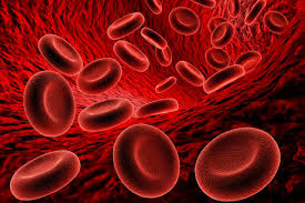 Hemoglobin Strip